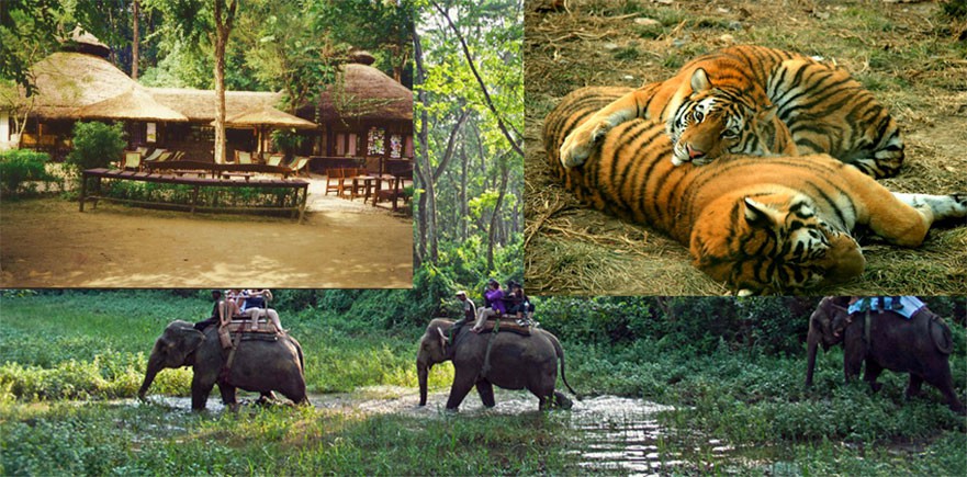 Chitwan Tour - First Environmental