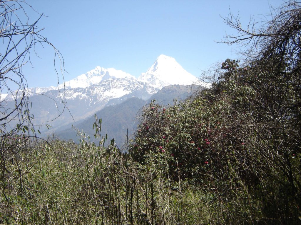 Ghorepani poon hill ghandruk trek (19)